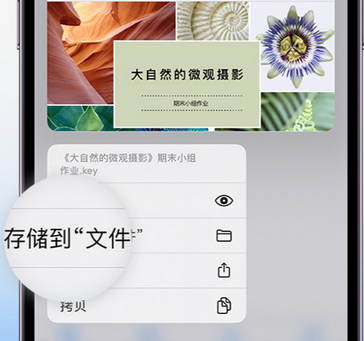 宣城apple维修中心分享iPhone文件应用中存储和找到下载文件