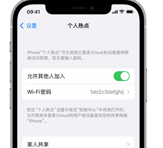 宣城apple服务站点分享iPhone上个人热点丢失了怎么办 