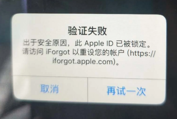 宣城iPhone维修分享iPhone上正常登录或使用AppleID怎么办 