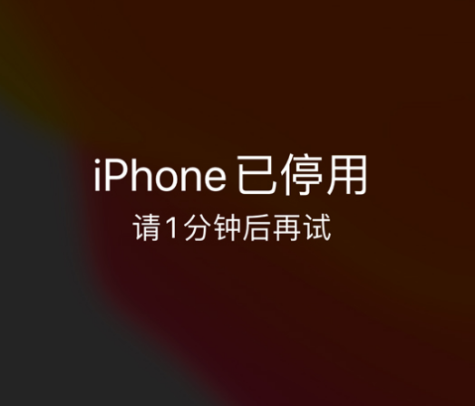 宣城苹果手机维修分享:iPhone 显示“不可用”或“已停用”怎么办？还能保留数据吗？ 