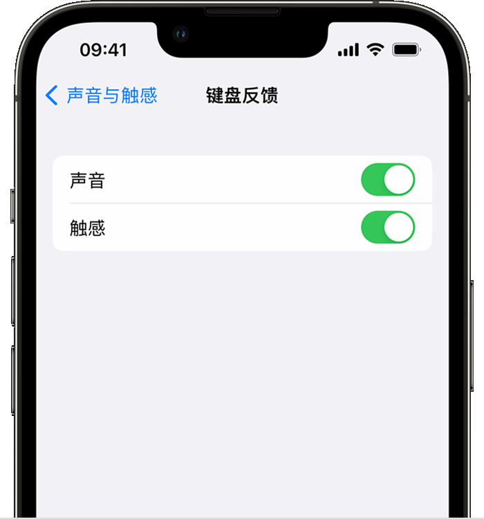 宣城苹果14维修店分享如何在 iPhone 14 机型中使用触感键盘 