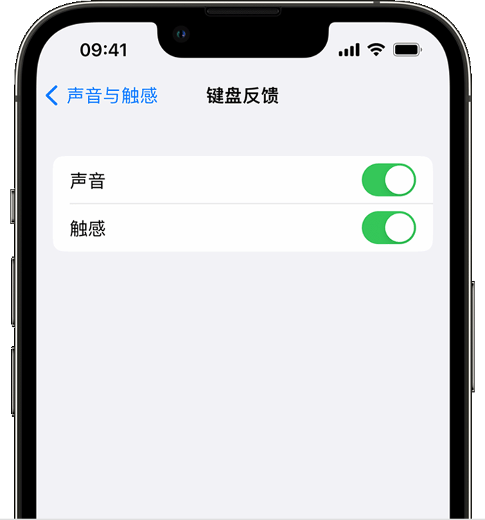 宣城苹果14维修分享iPhone 14 系列机型如何开启键盘声音或触感反馈 