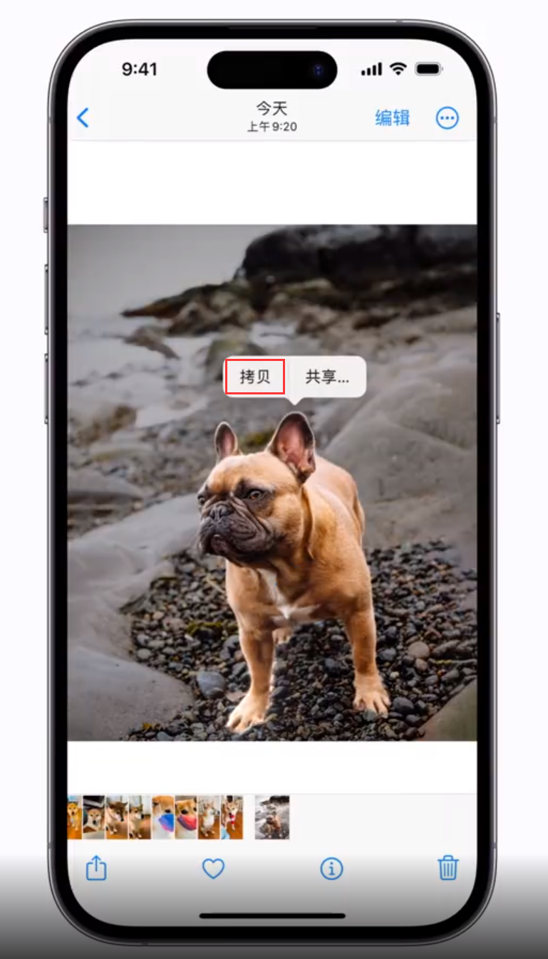 宣城苹果手机维修分享 iOS 16 自带一键抠图功能 