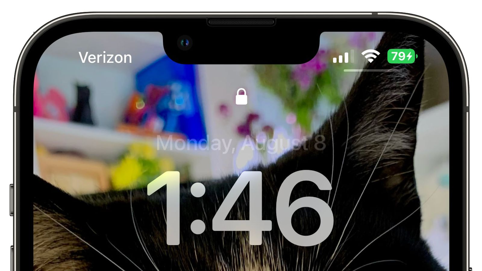 宣城苹果手机维修分享iOS 16 beta 5 支持状态栏显示电池百分比，如何开启？支持哪些机型 