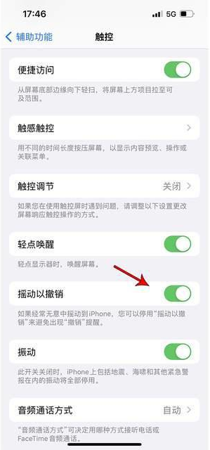 宣城苹果手机维修分享iPhone手机如何设置摇一摇删除文字 