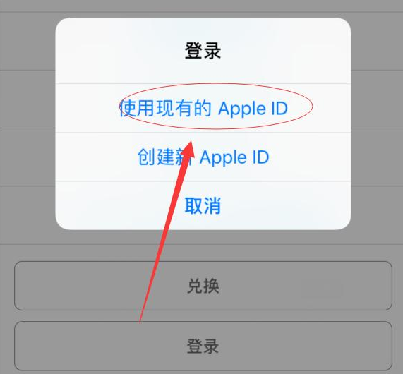 宣城苹果手机维修分享两台iPhone设备可以同时登录一个Apple ID吗 