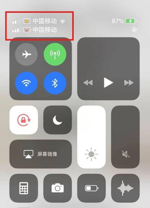 宣城苹果手机维修分享为 iPhone 12 双卡设置标签 