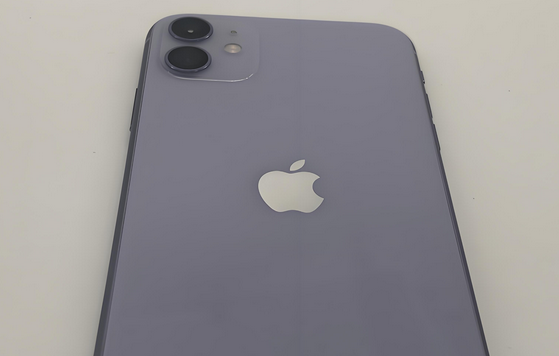 宣城苹果11系统维修分享iPhone11手机系统崩溃无法开机如何解决